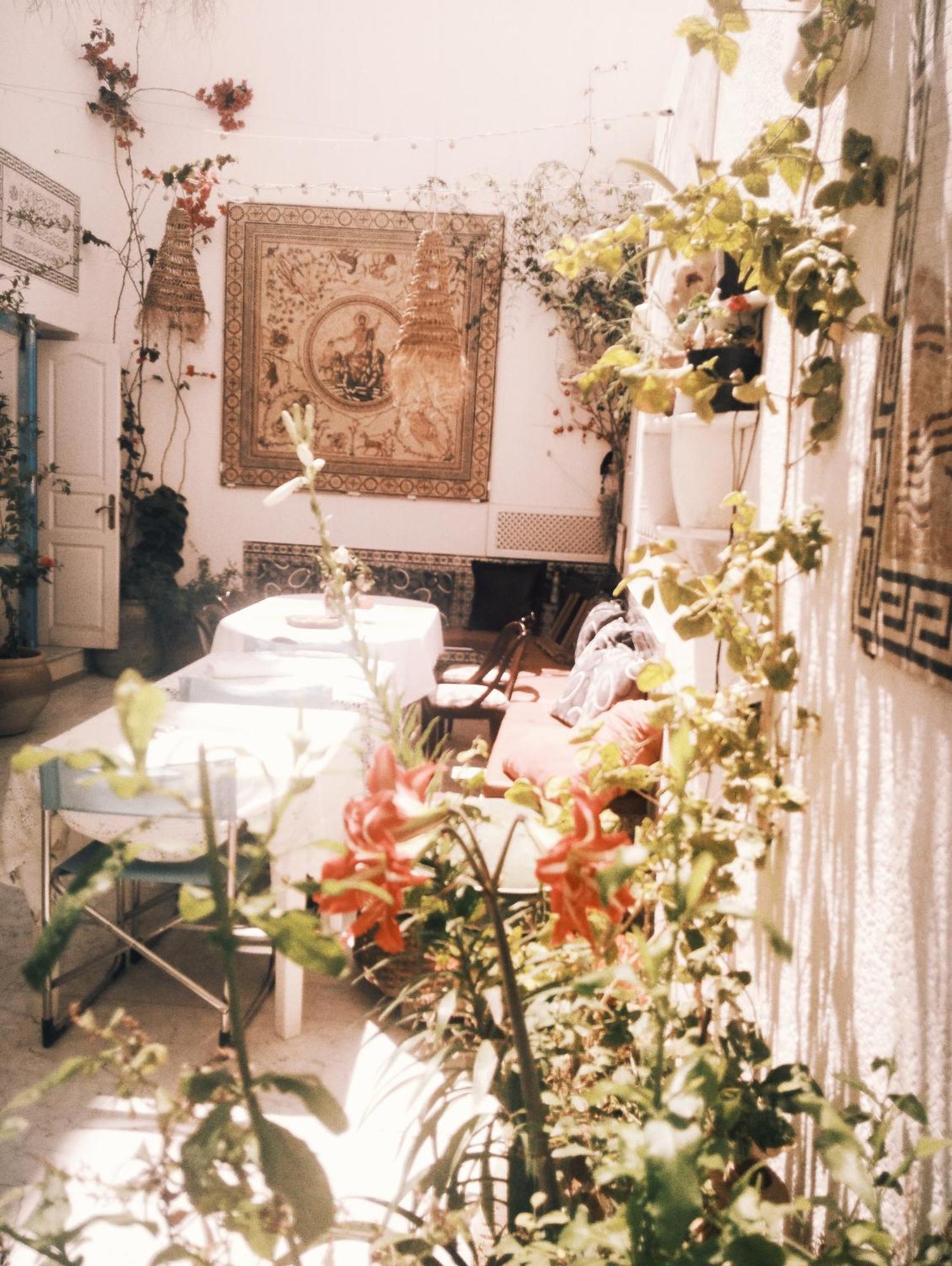 Maison Albatros Mahdia Exteriér fotografie